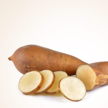 yacon poire de terre yacon poire de terre