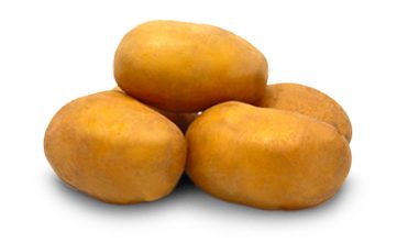 ecrin pomme de terre ecrin