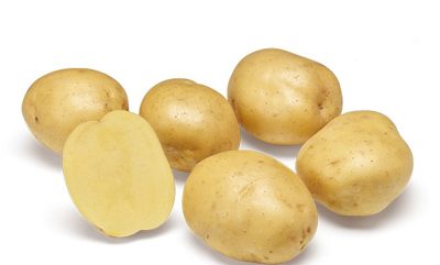 twister pomme de terre twister