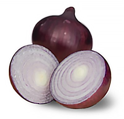 redlander f1 oignon redlander f1