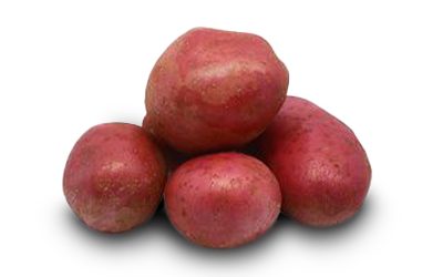 alouette pomme de terre alouette