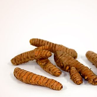 curcuma curcuma