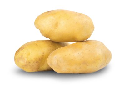 el mundo pomme de terre el mundo
