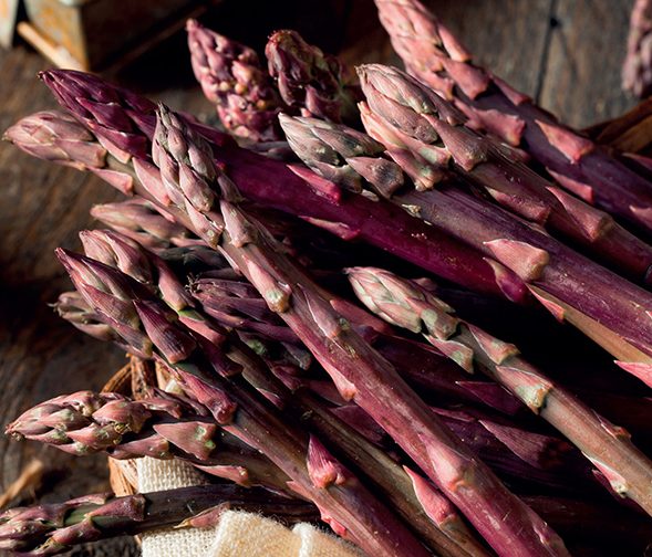 asperges violette asperges violette