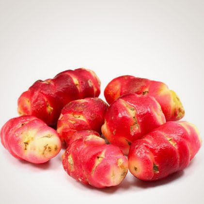 oca du perou oca du perou