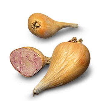 griselle echalote griselle