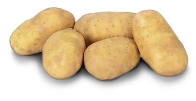 valencia pomme de terre valencia