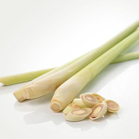 citronnelle lemon grass citronnelle lemon grass
