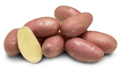 rousseau pomme de terre rousseau