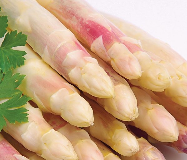 asperges argenteuil asperges argenteuil