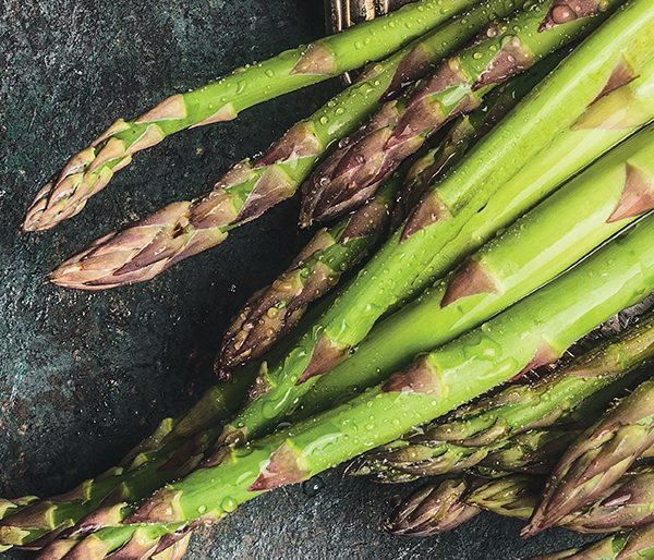 asperges verte asperges verte
