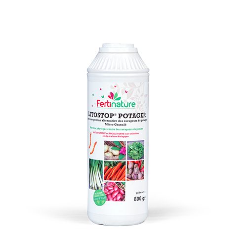 soins des plantes soins des plantes